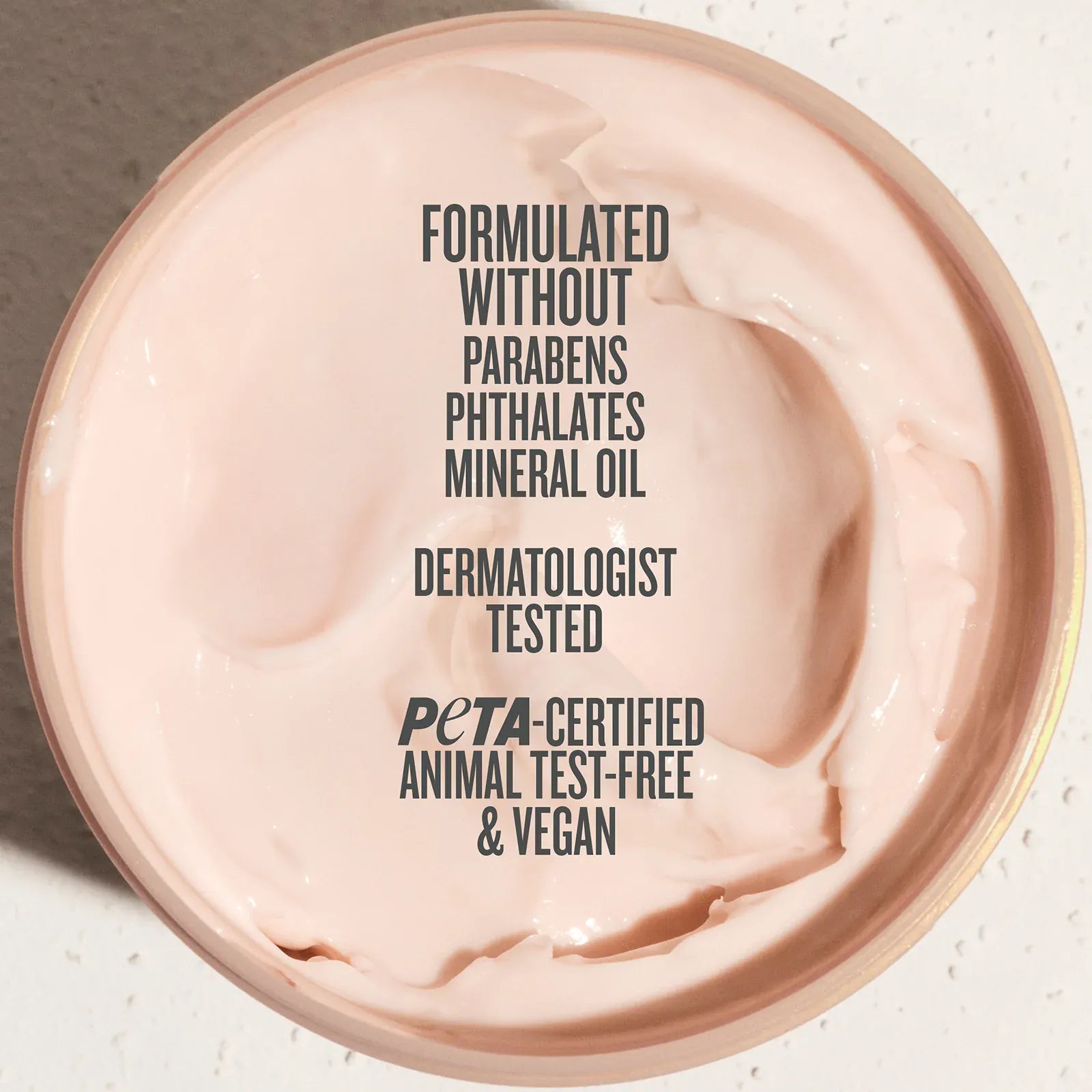 Rosa Charmosa™ Dewy Cream - Image 12